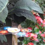 Foto's 2016 W010 1 150x150 - Foto's 2016
